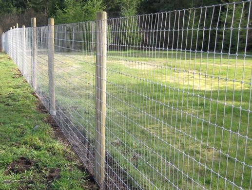Fixed Knot Woven Wire Cattle Fencing