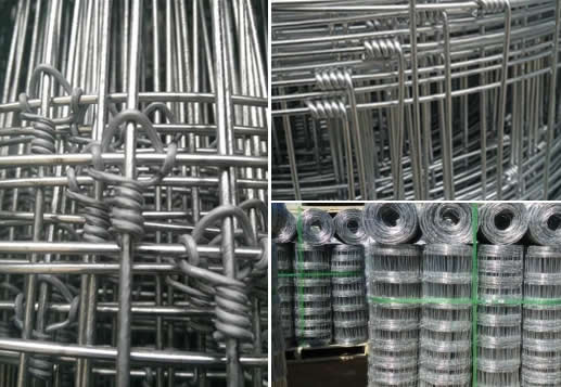 Galvanised Wire Mesh Field Fence