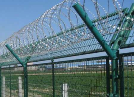 Crossed Razor Wire Coils Supported by Y Fencing Posts