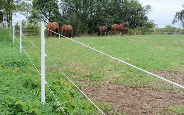 electric horse fence